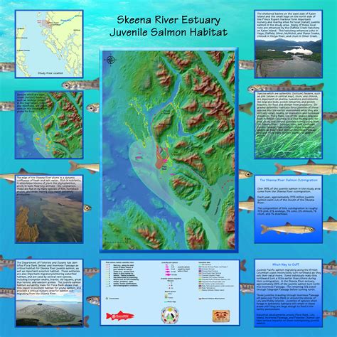 Skeena River Estuary Juvenile Salmon Habitat