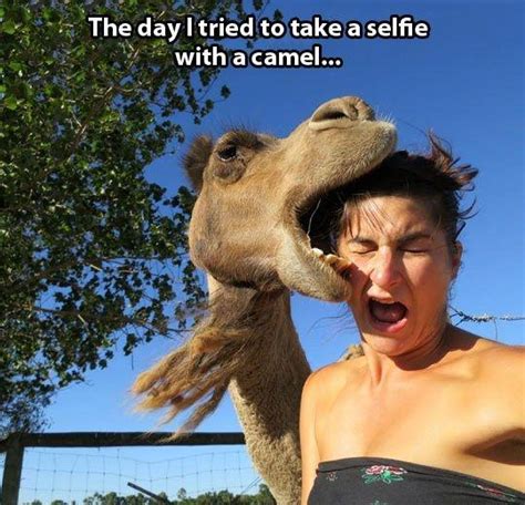 The Day I Tried To Take A Selfie With A Camel Picture Quotes