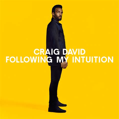 Craig David Following My Intuition Chronique Da Vibe