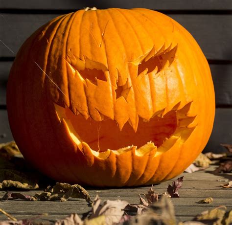 Creative Jack O Lanterns Are A Real Treat The Seattle Times