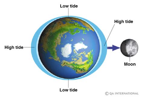 Moon How Much Do Tides Affect Earths Rotational Velocity Earth