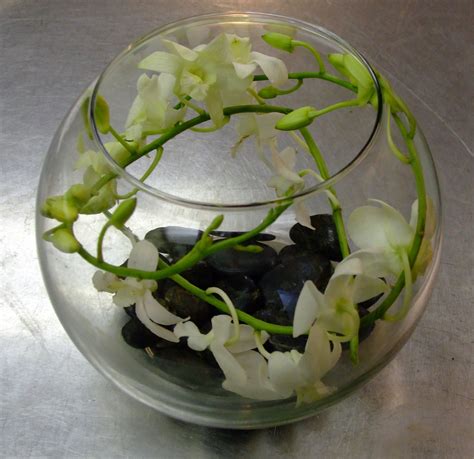 White Dendrobium Orchid In An Orb Vase With Black Rocks White Dendrobium Orchids Reception
