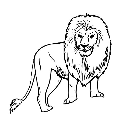 Free Black And White Lion Drawing Download Free Black And White Lion