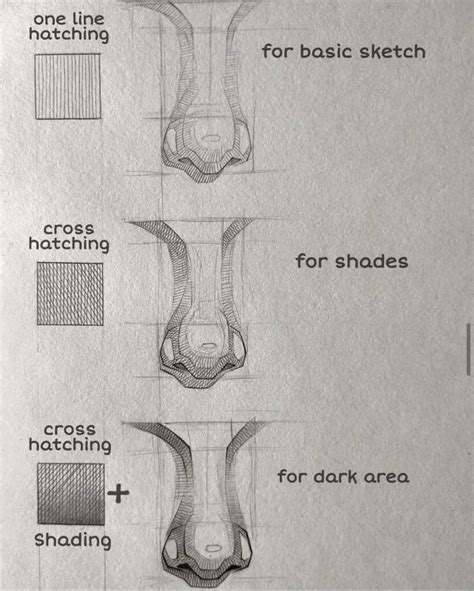 The Diagram Shows How To Draw An Animals Nose With Different Shapes