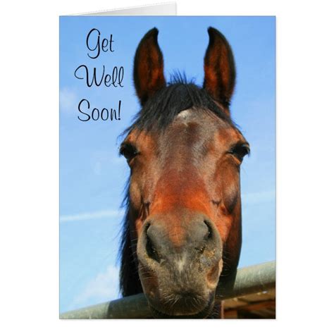 Get Well Soon Horse Greeting Card Zazzle