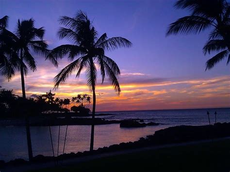 Palm Trees And Sunset Sunsets Hawaii Scenic Sunset