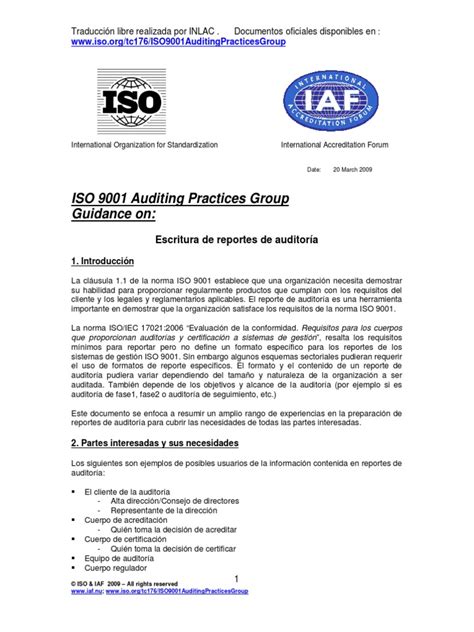 Reporte De Auditoría Pdf Organización Internacional Para La