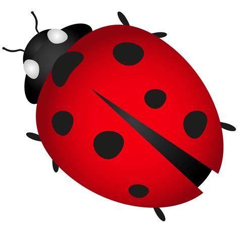 Png Lady Bug And Free Lady Bugpng Transparent Images 21305