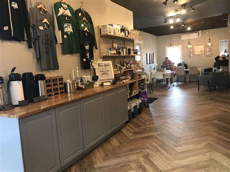 Gem City Catfe — The Neighbor's Cat