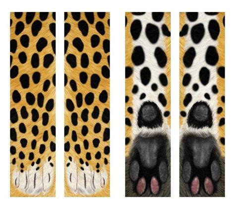 3d Animal Foot Hoof Socks Cosplay Printed Cat Dog Tiger Paw Feet Socks