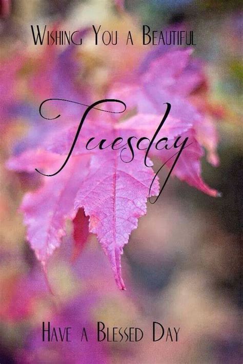 Wishing You A Beautiful Tuesday Tuesday