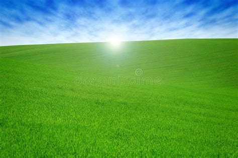 Field With Green Grass And Sky With Clouds Clean Idyllic Beautiful