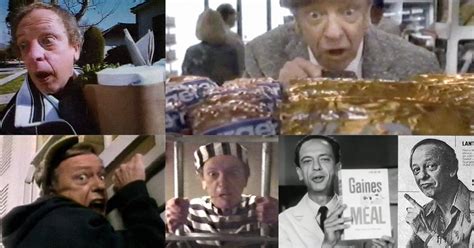 Don Knotts Was Just As Funny In Advertisements As He Was On The Andy