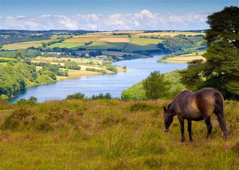 What To See And Do In Exmoor National Park