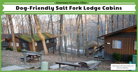 Salt Fork Lodge Volguitar