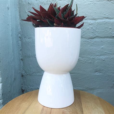 Planter Pedestal White Gloss Ceramic 2 Sizes Basilandivy
