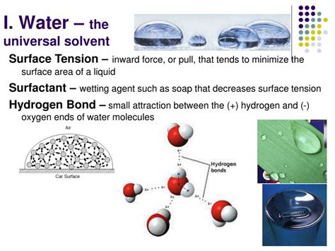 Water The Universal Solvent Worksheet