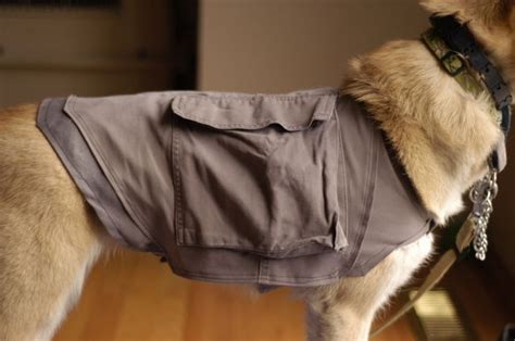 This is no ordinary drawstring backpack. Doggy Cooling Vest / Backpack (from cargo pants)