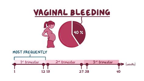 4 Types Of Bleeding In Pregnancy Peter Brown Bruidstaart