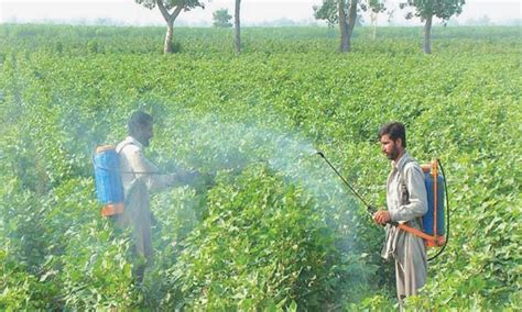 Environmental Impact Of Pesticide Overuse Business Dawncom
