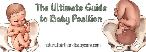 The Ultimate Guide To Baby Position In The Womb Natural Birth And