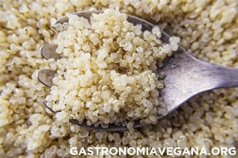 Asar es una buena manera de cocinar, ya que el alimento se cocina mediante la acción del calor. 7 formas diferentes de usar la quinoa | Gastronomía vegana ...