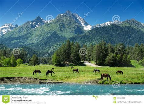 Beautiful Nature Caucasus Mountains Landscape Stock Photo Image Of