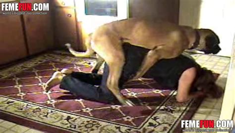 Dog And Girl Sex Video Of Full Bestiality With Dog And