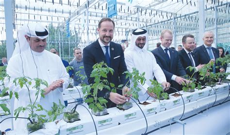 Pilot Water Saving Greenhouse Launched The Peninsula Qatar