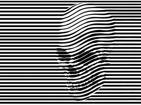 Black And White Optical Illusions Google Search Skull Art Op Art