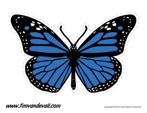 Blue Butterfly Image Tims Printables