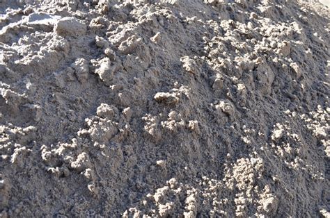8020 Sandy Loam Parklea Sand And Soil