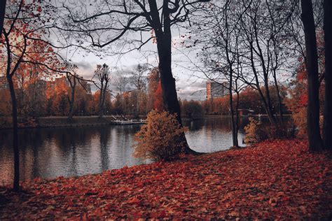 Free Photo Photography Of Trees Near River During Fall Autumn