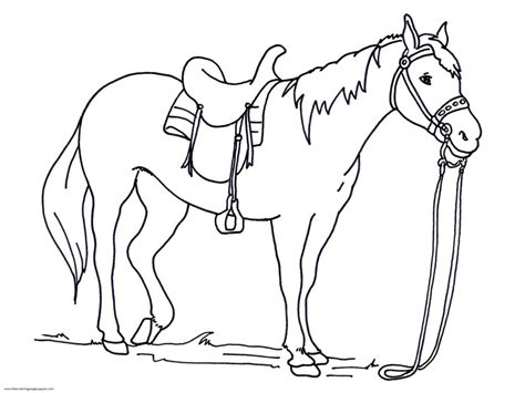 Do you know the mouse's gray dress, characterized by a gray coat and black. Coloring Pages: Free Printable Horse Head Coloring Pages ...