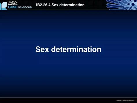 Ppt Sex Determination Powerpoint Presentation Free Download Id3923101