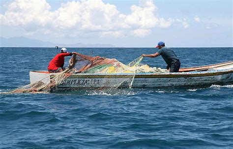 Taiwán Dona Us2m Para Desarrollo De Pesca En Centroamérica