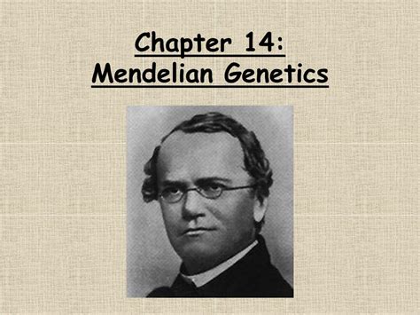 Ppt Chapter 14 Mendelian Genetics Powerpoint Presentation Free