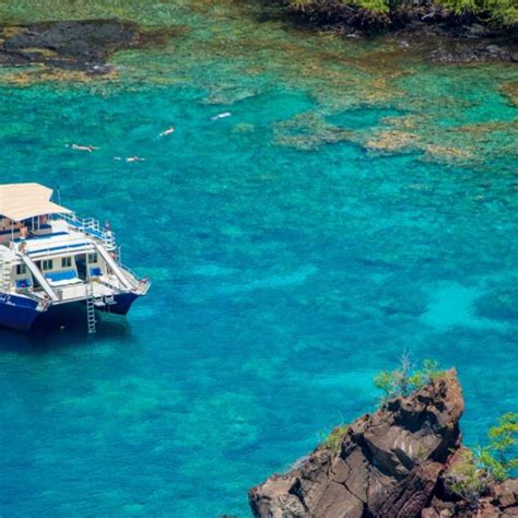 Big Island Hawaii Snorkel Tours Kona Snorkeling Cruises