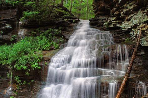 Free Picture Waterfall Waterwet Ecology Stream