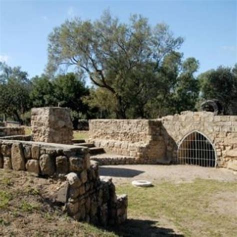 It was taken by the philistines and was. Ashkelon National Park | Attractions | The official ...
