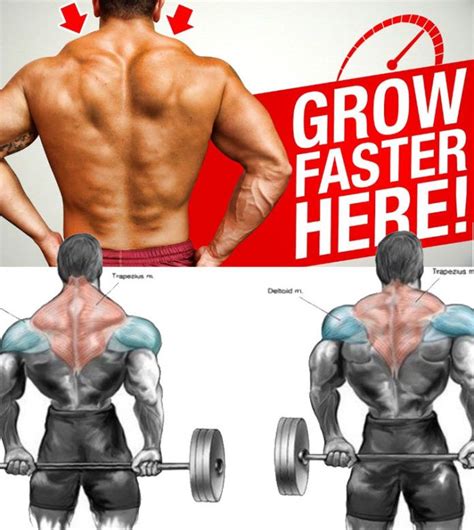 The best workout to get back in shape. Overhead Barbell Shrug | Exercise, Back workout, Shoulder workout