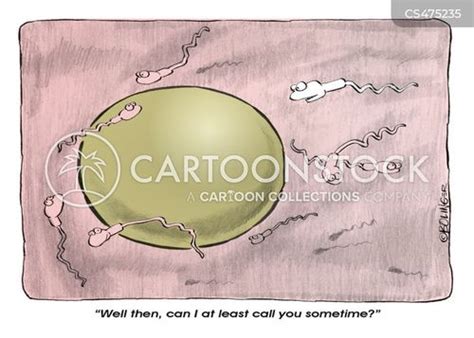 Cartoon Sperm And Egg Fertilization