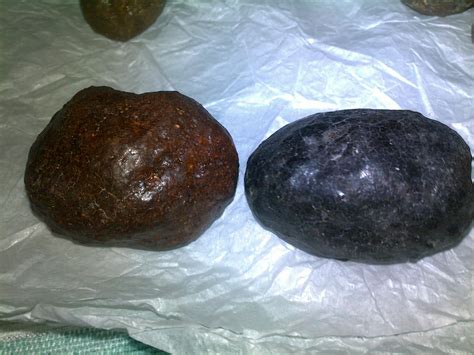 Maybe you would like to learn more about one of these? batu landak: gambar-gambar perbagai jenis batu landak ...