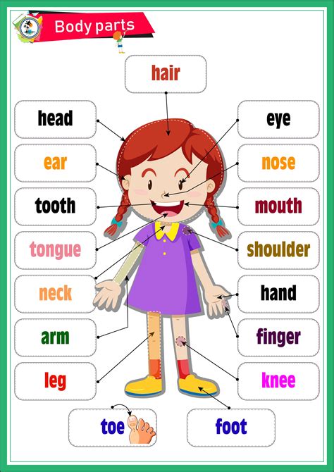 Body Parts English Activities For Kids Learning English For Kids