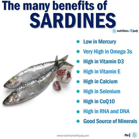Microblog The Many Benefits Of Sardines Nutrition With Judy