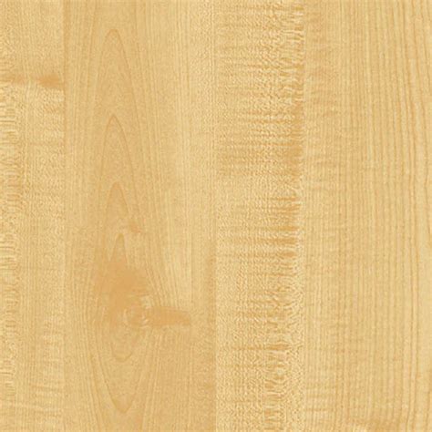 Hard maple light wood fine texture seamless 04354