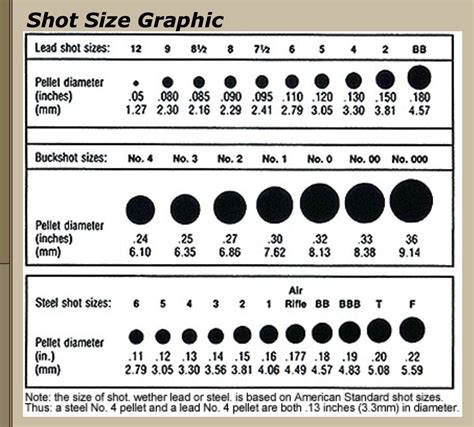 Buckshot Size Comparison Vintage Outdoors Rifle Caliber And Shotgun Load Dangerous Range