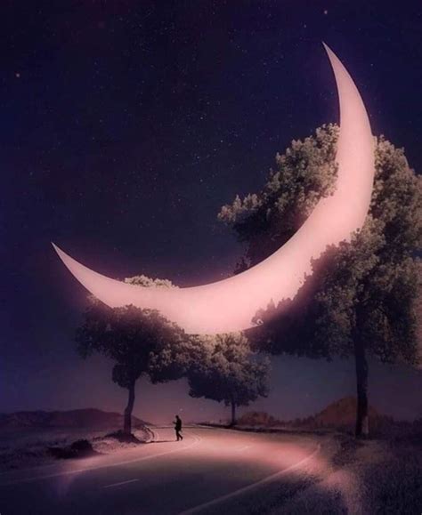 Pinterest: LexieGemini | Nature photography, Beautiful ...