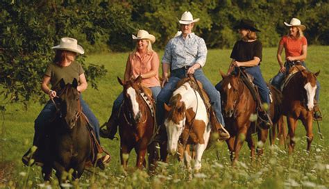 Take us to taco bell and we will do whatever you want (uber adventures). Getting Ready for a Long Trail Ride - Expert advice on ...