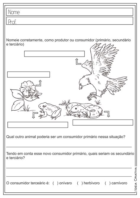 Atividades Sobre Animais Carnívoros Herbívoros E Onívoros Para 3 Ano